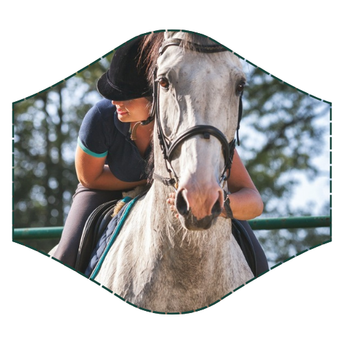 mujer sobre caballo gris