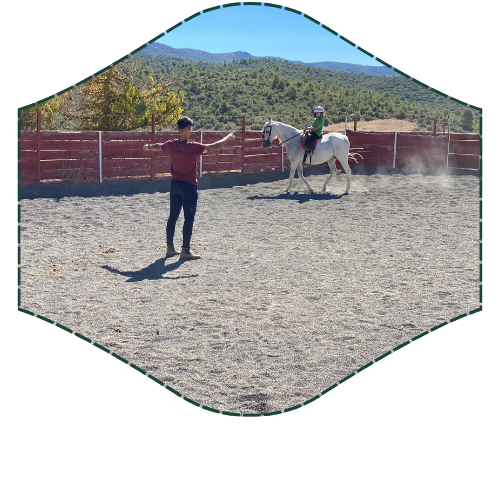 La Herradura ruedo con caballo blanco